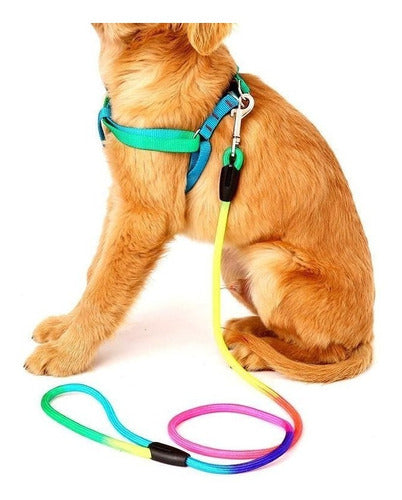 Correa Multicolor Para Perro Gato Con Pretal De Regalo 1