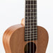 Ukulele Kalani Concert 24 Kal 220cs Tribes Series Kit Oferta Cor Marrom 2