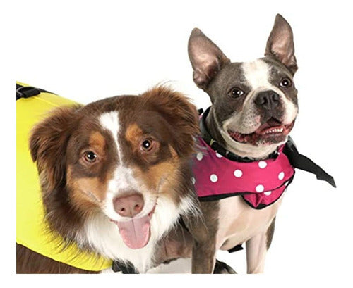 Seachoice Dog Life Jacket 86360 - Adjustable Life Vest 6