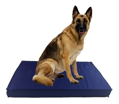 G Y G Fiacas Eco-Leather Pet Mat (110 X 70 Cm) Large 0