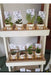 10 Plaster Plant Pots with Succulents and Nordic Stand - Events 2