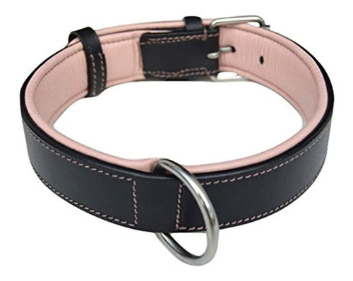 Soft Touch Collars - Luxury Padded Leather Dog Collar 3