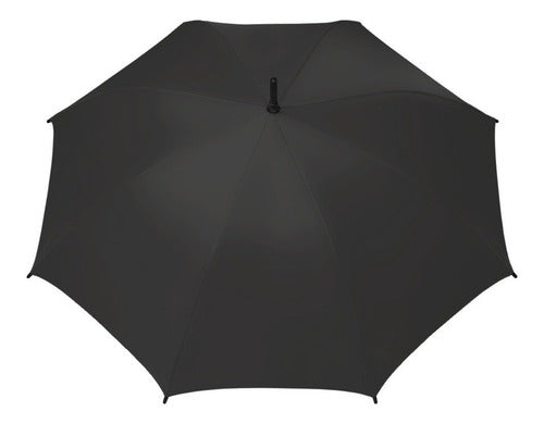 Wagner Stich Reinforced Umbrella 2 Units! | Recoleta 3