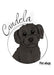 Personalized Pet Blanket - Polar Fleece - Custom Name - Various Sizes and Colors 24