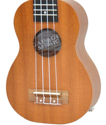 Parquer Electro Soprano Ukulele with Case and Aquila Strings 2