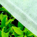 Cerroplast Anti-Frost Fabric for Plants/Cultivation 1.40m x 50m, 15g 2