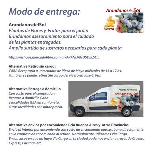 Corinto - ( Frutal Adulto Con Tronco) 5