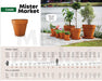 Blum Terracotta Common Pot N°52 Eco Deco for Succulents 1