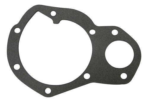 Aequipe Water Pump Gasket R-18 0