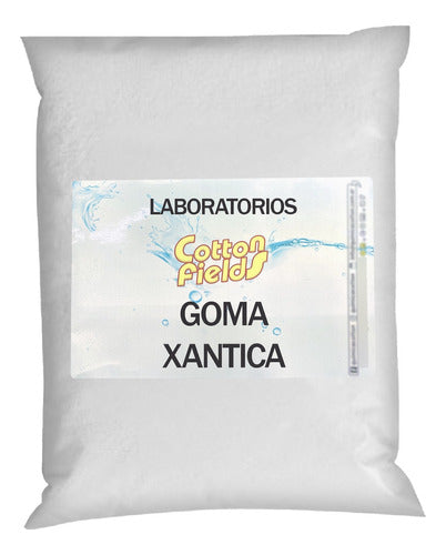 Goma Xantica Industrial Tecnica X 1kg - Rhodopol 23 2