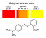 Salttech Methyl Red Solution Dropper 100ml 2