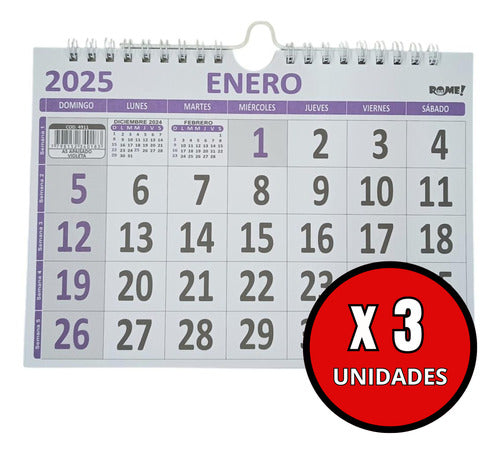 Rome Calendar Almanque 2025 4911 A5 Large Numbers X 3 1