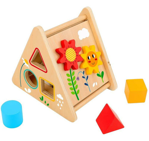 Tooky Toy Triangle of Educational Activities 1