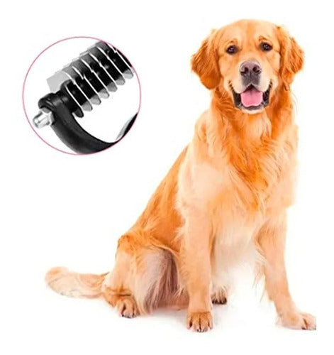 Winter Kit Double Rake Brush + 4 Anti-Slip Socks + Soft Warm Polar Blanket for Pets 3