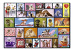 Educa Puzzle Moments Animals 1000 Pieces Atrix 1