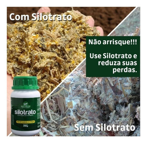 Kit Silotrato Liofilizado 100g Com 2 Un 3