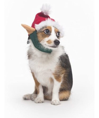 Fashion Pet Elf Hat for Small to Medium Dogs 0