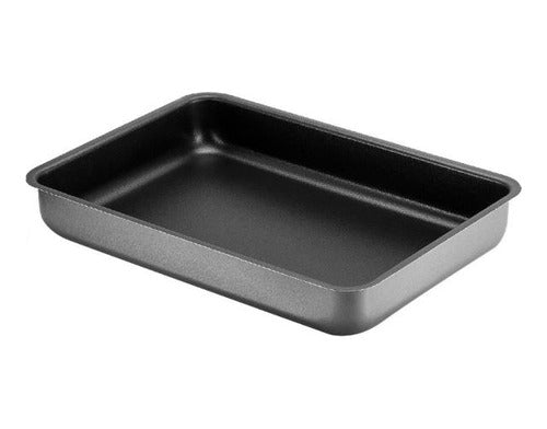 Asadera Panelux Antiadherente 23cm X 13cm Oferta 0