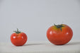 Tomates Artificiales Decorativos 4 Unidades - Regalosdeco 4