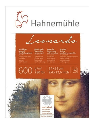 Bloco Hahnemuhle Leonardo Satine 600g/m2 24x32 10 Folhas 0