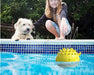 Mundo Peludo Interactive Water Spray Toy for Dogs 7