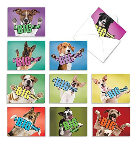 The Best Card Company - 10 Tarjetas De Felicitación De Perro 0