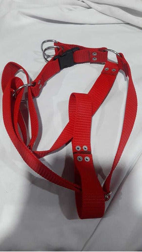 Reinforced Nato Harness for Large Breed Dogs with Leash 4