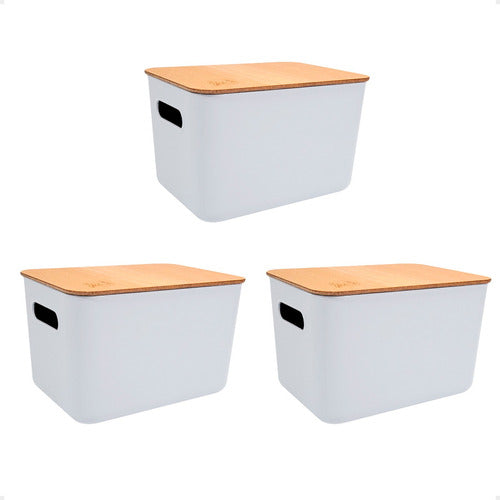 Plásticos Cerri Set X3 Canasto Organizador Plastico C Tapa Apilable 26x18x16 6