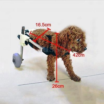 Pet Wheelchair Height 10 for Disabled Pets by [Brand Name] 2