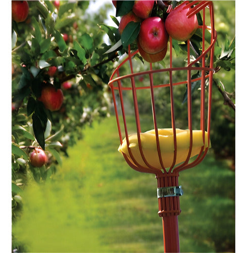 Truper Fruit Collector Tool with Extensible Handle 1