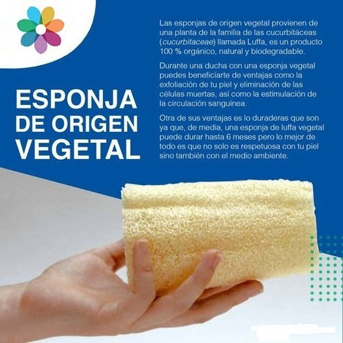 Holístico Natural Luffa Sponge Pack of 50 Units 1