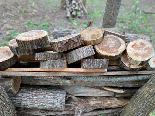 Naturaleza Log Slices with a 25Cm Diameter 2