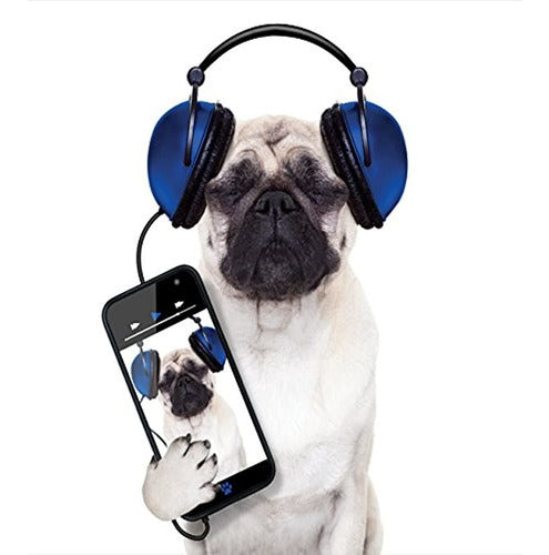 Ambesonne Pug Duvet Cover Set, Dog Listening to Music on Groovy Cool Headphones 1