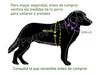 De Perros con Onda Dog Collar + 3 Mts Reinforced Leash for Walks and Play 1