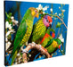 GG CUADROS Wall Key Holder Various Bird Designs 15x20cm (6) 4