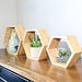 Búho Store Set of 3 Hexagonal Bamboo Shelves 1