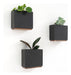 Kazai. Jardineras De Pared -Alma- | 3 Macetas Colgantes Modernas 0