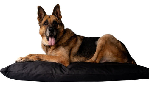 Marko Large Anti-Scratch Mattress with Zipper T5 115 X 85 for Large Dogs 0