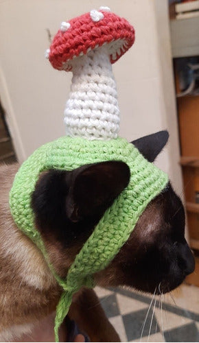 Sombrero De Hongo Para Gatos A Crochet 5