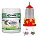 Exzootix Colibri Nectar and Feeder Kit 0