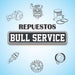 Bull Service Cigüeñal Con Biela Desmalezadora 52cc 4