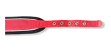 Padded Narrow Dog Collar 11