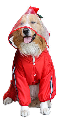 Capa De Chuva Para Cães Grandes, Roupas Impermeáveis 3