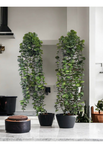 Pack of 2 Hanging Artificial Eucalyptus Plants with Black Pot 2
