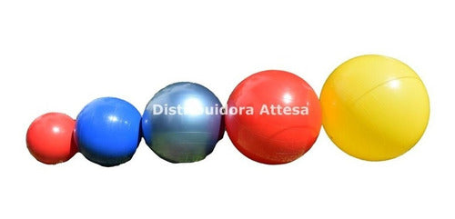 Pelota Esferodinamia Gym Ball 45 Cm 450 Gramos Pilates Rehab 4