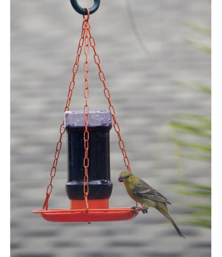 Perky-Pet 253 Oriole Jelly Wild Bird Feeder 1