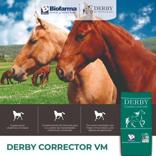 Derby Corrector Vm Sup. Vitamínico Mineral 25kg 2