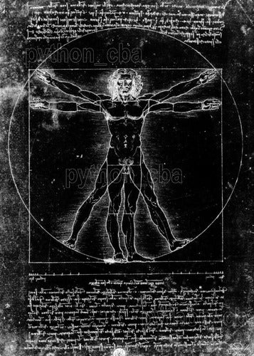Beautiful Vitruvian Man Poster - Da Vinci - 120x85 New 3