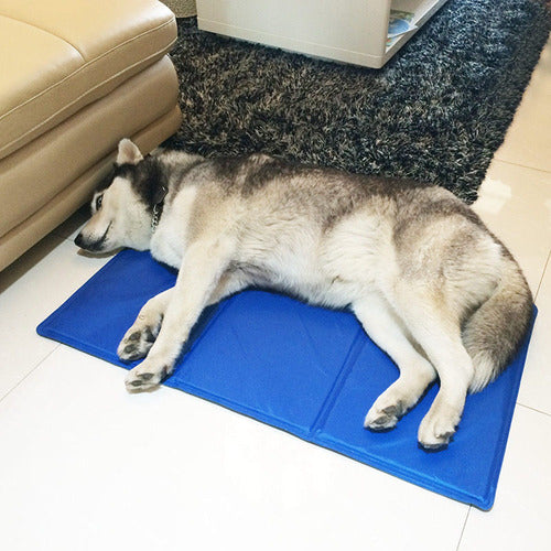 Self-Cooling Pet Mat - Pressure Activated - Large 4