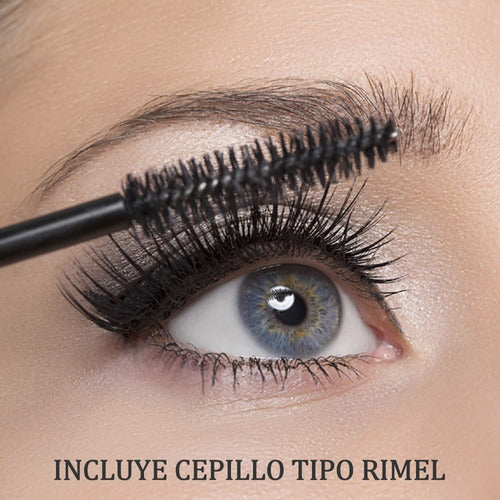 Lash Kit Permanente Pestañas Bigudies Pegamento Lifting Tintura 4